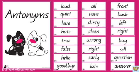 Explanation About Antonym Synonym And Hyponym Simanjuntaks Blog