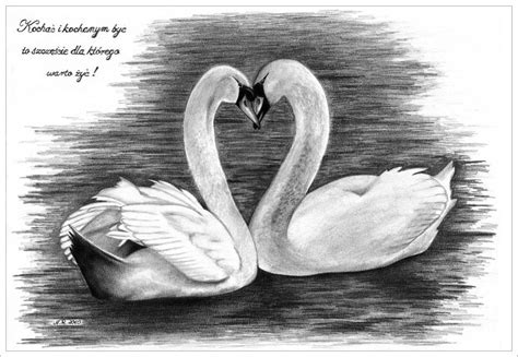 Swan Love By Nataliara On Deviantart