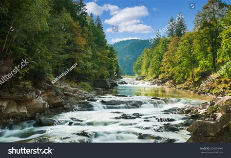 1521108 Forest Mountain River Images Stock Photos And Vectors