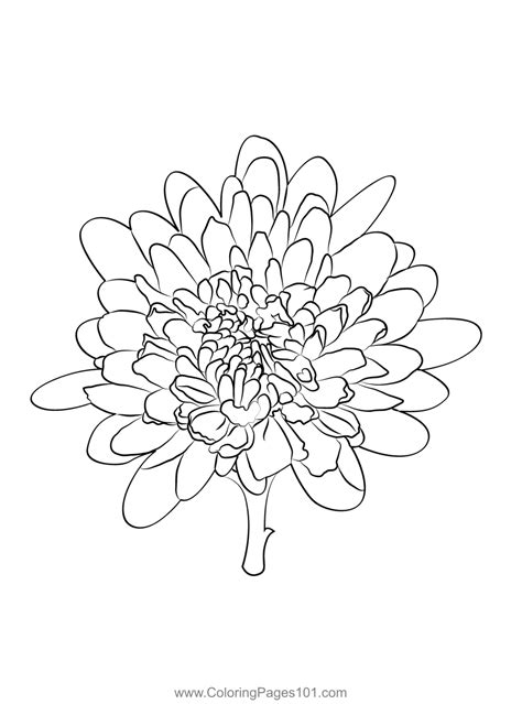 Chrysanthemum Coloring Page For Kids Free Chrysanthemums Printable