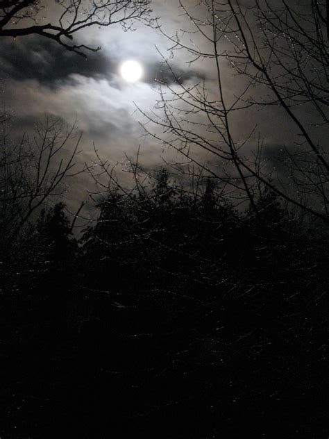 图片素材 科 冬季 黑与白 天空 晚 阳光 大气层 幽灵般的 黑暗 神秘 冰 反射 万圣节 天气 单色 月亮
