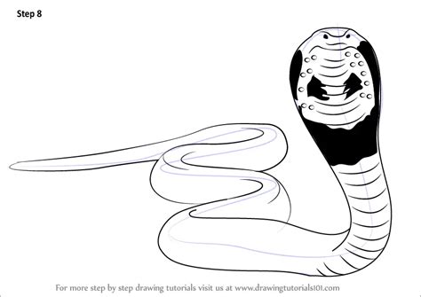 How To Draw A Snake Face Step By Step Here S Another Useful Tutorial