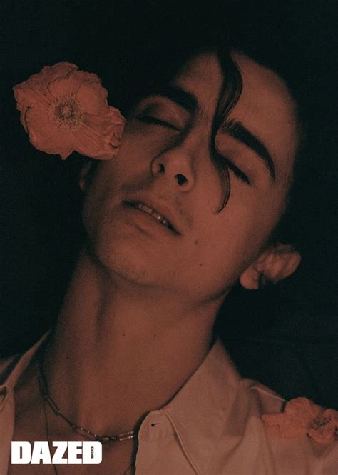 28 Aesthetic And Vintage Timothee Chalamet Iphone Wallpaper Ideas