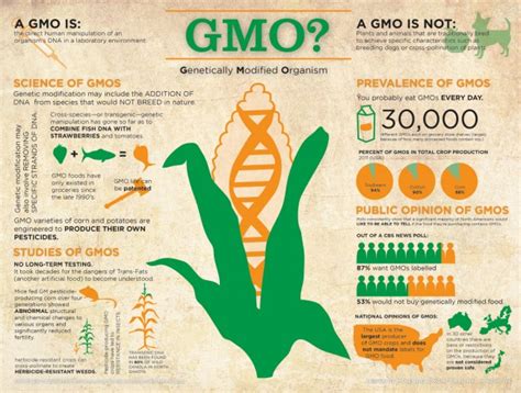 Graphics Genetically Modified Foods Is Labeling Important