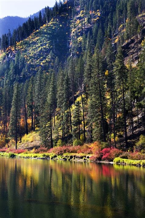 Colors Of Fall Jolanda Lake Washington Stock Photo Image Of Scenic
