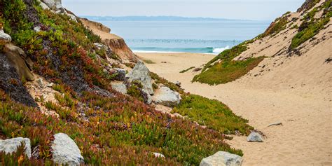 Fort Ord Dunes State Park California
