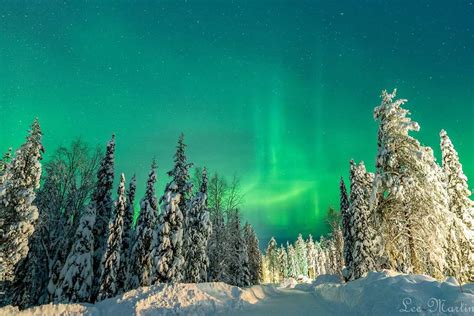 See The Northern Lights In Finnish Lapland Where When And How