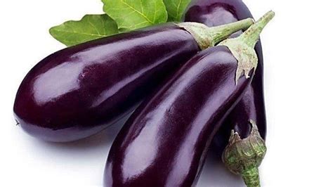 Sayuran yang bagus untuk menurunkan kadar gula dalam darah tidak hanya yang berwarna hijau saja. 10 Manfaat Kesehatan Konsumsi Terong, Baik untuk Jantung ...