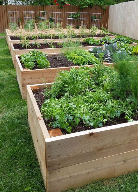 Raised Garden Bed Vegetables