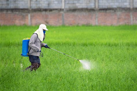 Environmental Factor July 2020 Low Cost Approach May Lower Adolescent Pesticide Exposure