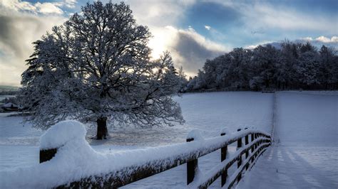1920x1080 1920x1080 Winter Snow Fence Wallpaper Landscape Tree