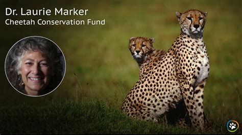 Cheetah Conservation Fund · Spring Expo 2017 · Dr Laurie