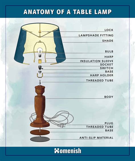 Parts Of A Lamp Explained With Diagram Homenish
