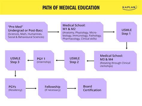 How Long Does It Take To Become A Doctor Infolearners