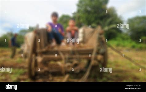 Blurry Children In A Oxcart At The Farm Stock Photo Alamy