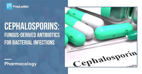Cephalosporins Fungus Derived Antibiotics For Bacterial Infections