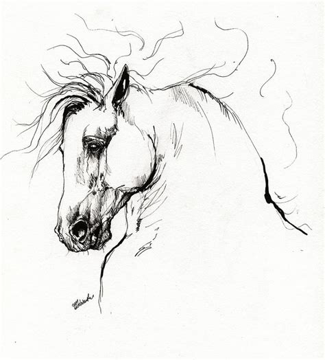 Pin By Mercedes Yrayzoz On Equidae Horse Drawing Horse Drawings