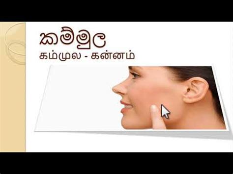 Therefore memorizing them will give you a. Body Parts in Sinhala - 1 - YouTube