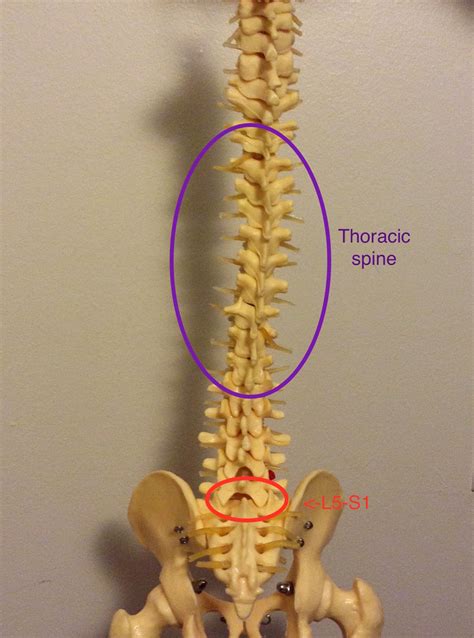 3 D Runner Dont Be The Hunchback Runner How To Mobilize The Thoracic