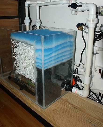 Aquaponics Set Up 55 Gallon Aquarium What Fertilizer To Use In Aquaponics