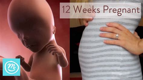 12 Weeks Pregnant What You Need To Know Channel Mum Youtube