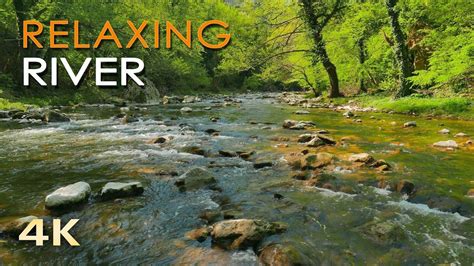 4k Relaxing River Ultra Hd Nature Video Water Stream And Birdsong Sou
