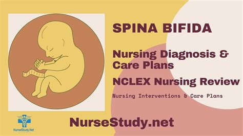 Spina Bifida Nursing Diagnosis And Nursing Care Plan Nursestudynet