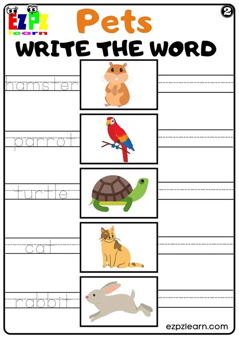 Pets Write the Word set 2 Worksheet For Kids and ESL PDF Download