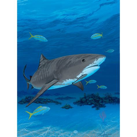 Tiger Shark Beach Canvas Print Deano Studios