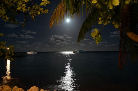 Images Gratuites Carte Postale La Nature Ciel Nuit Eau Lumière