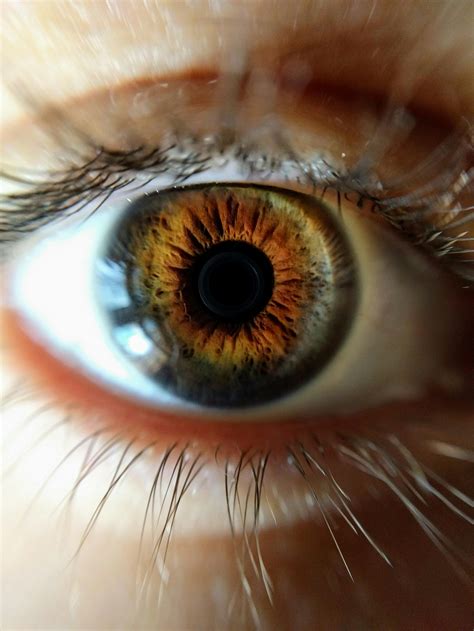Human Eye Closeup Photo · Free Stock Photo