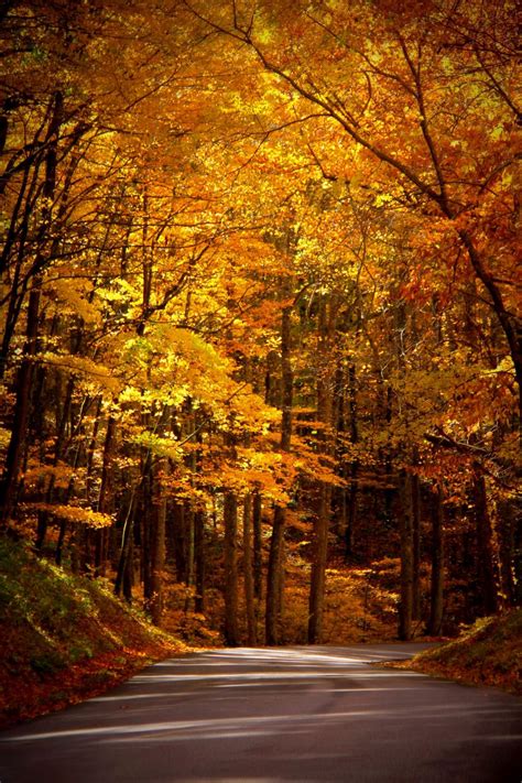 Delightful Autumn Scenery Autumn Landscape Fall Pictures
