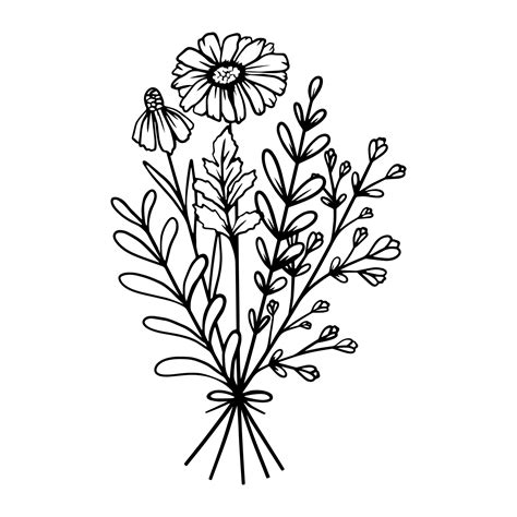 Simple Vector Drawing In Black Outline Bouquet Of Wildflowers Isolated