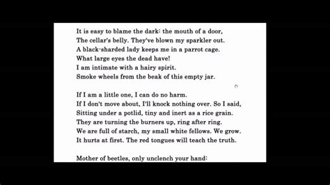 Witch Burning Poem By Sylvia Plath My Xxx Hot Girl