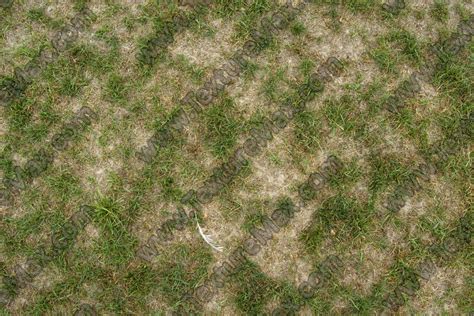 Grass And Straw Terrain 0031 Texturemax