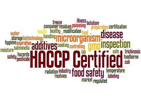 Level 4 In Haccp Management For Food Manufacturing