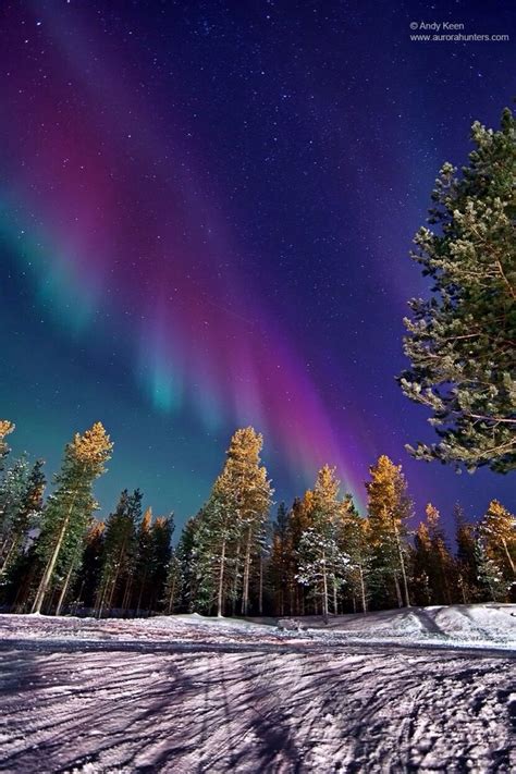 Multi Color Aurora Borealis Northern Lights Photo Northern Lights