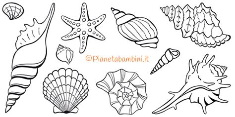 Benvenuti su coloradisegni.it, questo sito vuole essere una grande raccolta di disegni da colorare, rivolto specialmente ai bambini, il suo utilizzo è completamente gratuito. 24 Disegni di Conchiglie da Colorare | PianetaBambini.it