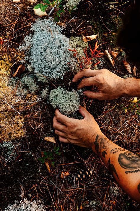8 tips on how to get started with foraging | Cottage Life