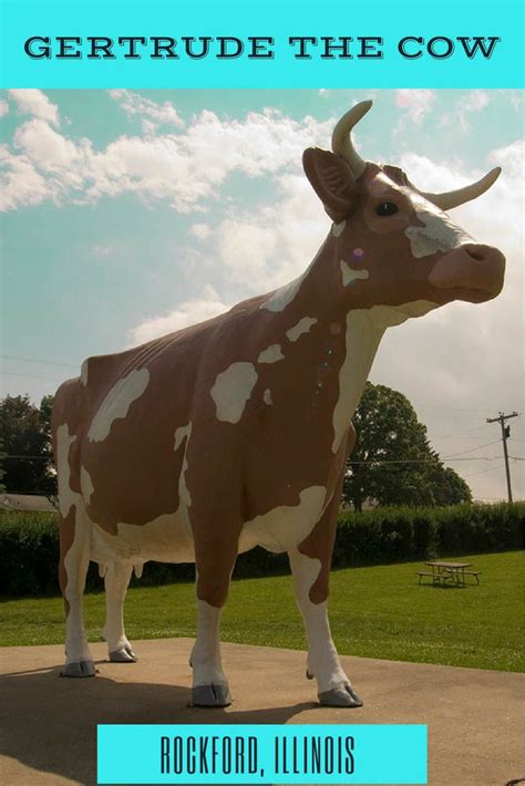 Gertrude The Cow In Rockford Illinois Roadside Attractions In