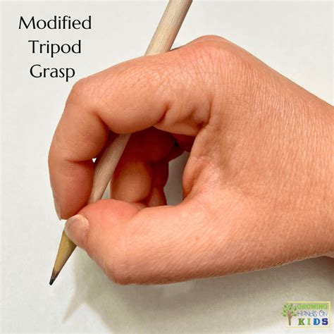 Pencil Grasp Development The Tripod Grasp
