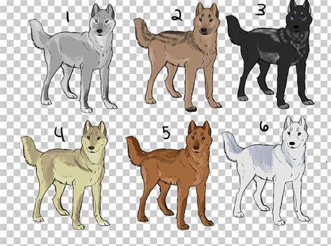Shikoku Dog Breed Puppy Cat Paw Png Clipart Animal Figure Breed