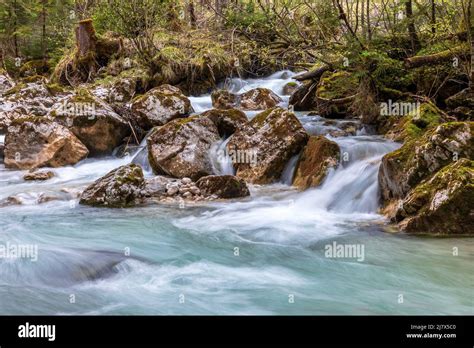 In The Zauberwald Enchanted Forest At Lake Hintersee Near Ramsau