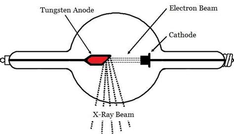 Schematic View Of X Ray Tube And Position Of Anode Download