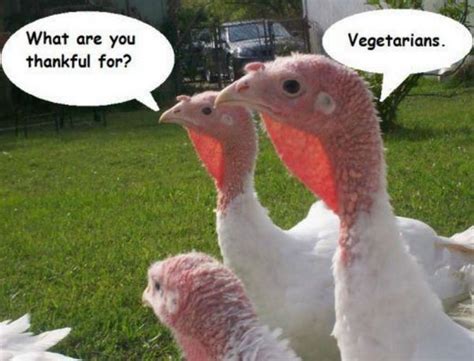Şu sıralar farkındayım, korkmuyorum sloganıyla bir kampanya yürütmekteler. 25 Super funny Thanksgiving memes that will make you smile