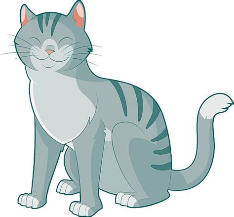 Royalty Free Grey Cat Clip Art Vector Images And Illustrations Istock