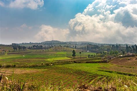 Countryside Agriculture Farming Fields With Bright Blue Sky At Morning