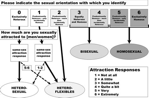 The Multidimensional Sexual Orientation Classification System M Socs