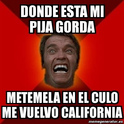Meme Arnold Donde Esta Mi Pija Gorda Metemela En El Culo Me Vuelvo California
