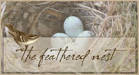 The Feathered Nest Following The Feathered Nest Blog